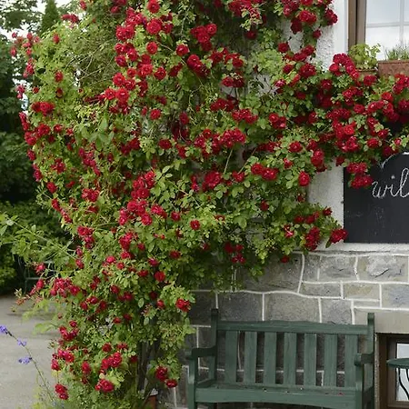 Maison d'hôtes Kraeuterpension Saeumerpfad